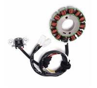 ESWQES Bobina Statore Generatore Moto Accessori Comp per WR250F 2004-2009 2011-2014 WR250 WR 250 F 5UM-81410-09-00