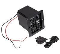 ESX POWER2 Mono Amplificatore rActive Modulo 4/2 Ohm per Subwoofer Alloggiame...