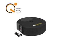 ESX Q300Av2 Subwoofer in Cassa 6"x9" ruota di scorta Attivo classe D sub box