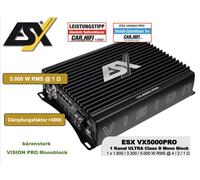 ESX VX5000PRO Amplificatore Mono Ultra Digitale 1 Canale 5000 Watt RMS