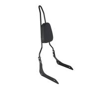 ESyem Moto Schienale Accessori Moto per Modelli per XVS1300 Stryker 2011-2017 Parte Posteriore Staccabile dello Schienale del Sedile del Passeggero Sissy Bar