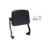 ESyem Moto Schienale per Pan American Pa1250s 2021 2022 Moto Posteriore Passeggero Sedile Schienale Telaio Set Cuscino Resto Pad Schienale