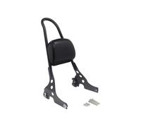 ESyem Moto Schienale Schienale Posteriore per Moto Sissy Bar con Kit Pad Passeggero per XL per Modelli per Sportster 883 1200 2004-2016