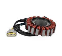 ESyem Moto statore Magneto Bobina Gruppo STATORE Adatto per SXS Pioneer 1000 1000-5 Bobina del GENERATORE Accessori Moto