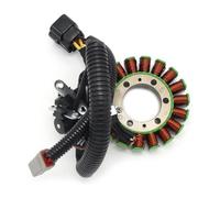 ESyem Moto statore Magneto Bobina Moto Statore Bobina per Ski-Doo MX Z X-RS 800 R Carb ZX Ho per Renegade per Adrenalina per Backcountry 420889909 420889904