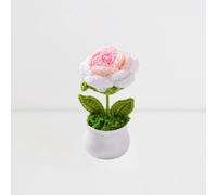 Esyzsss Bouquet di fiori all'uncinetto, fiori lavorati a maglia, fiori all'uncinetto, carino fiore fatto a mano, piccola pianta in vaso con rose sfumate, utilizzata per scrivania di casa, ufficio