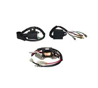 ET950 ET650 IE45 TG950 con bob di accensione magnete accenditore adatto for generatore TIGER YA 450W 650W 800W 950W 1kw(Magnetor)