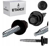 ETANCO GT02 - Viti per lamiera trapezoidale, 4,8 x 100 mm, RAL 9005, colore nero, 100 pezzi, autoforanti con guarnizione EPDM, in acciaio zincato, esagonale, per lamiera metallica su legno (4,8 x 100