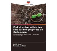 État et préservation des sols sur une propriété de Quilombola: Une étude dans la région d'Imbé, Campos dos Goytacazes - RJ