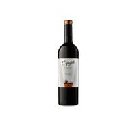 Etchart Cafayate Reserva Malbec 2024