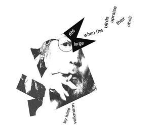 Ete Large When the Birds Upraise Their Choir (CD)