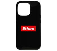 Ethan Bold Nome Umorismo minimo Identità Ethan Meme Custodia per iPhone 13 Pro