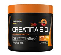 CREATINA 5.0 300G