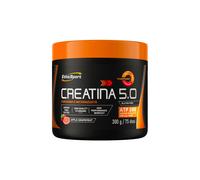 ETHIC SPORT - CREATINA 5.0 - (75 DOSI) 300g