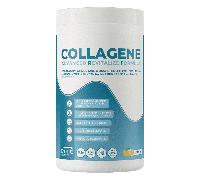 EthicSport Collagene Con Zinco Vitamina B6 C Magnesio e Acido Ialuronico 400 g