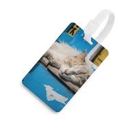Etichetta per bagagli con gatto che dorme con carta d'identità etichetta per bagagli da crociera per individuare rapidamente la valigia, adatta per uomini e donne zaino borsa bagagli., stile bianco
