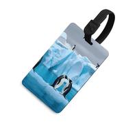 Etichetta per bagagli Penguins On The Iceberg con nome ID Card Etichetta per bagagli da crociera per individuare rapidamente bagagli valigia, adatta per uomini e donne zaino borsetta, stile nero