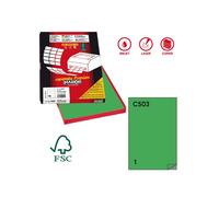 Etichette adesive C/503 - in carta - permanenti - 210 x 297 mm - 1 et/fg - 100 f