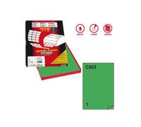 Etichette adesive C/503 - in carta - permanenti - 210 x 297 mm - 1 et/fg - 100 f