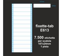 Etichette adesive modulo continuo ad 1 pista 107x24mm