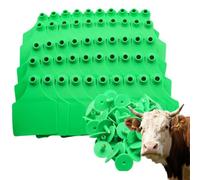 Etichette auricolari per bovini da 100 pezzi Etichette identificative per animali in PE brillante, etichette auricolari di grandi dimensioni adatte per la gestione del bestiame, bovini a verde 100pcs