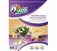 Etichette bianche angoli arrotondati 58x36mm - tipo/lito - 250 ff