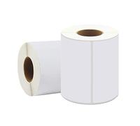 Etichette di spedizione 10cm x 15 cm, termico etichette di spedizione 250 etichette/Rolls, for Zebra desktop Printers (2 Rolls)