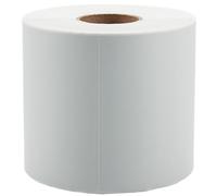 Etichette di spedizione Thermo DHL DPD UPS GLS Zebra 100 x 150 mm