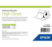 Etichette Epson High Gloss - Rotolo continuo: 102 mm x 33 m