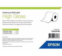 Etichette Epson High Gloss - Rotolo continuo: 102 mm x 33 m