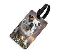 Etichette per bagagli Bulldog inglesi Etichette divertenti per bagagli Etichette con nome per zaini Etichette uniche per bagagli da viaggio Etichette per borse da viaggio con nome ID Tag valigia