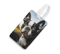 Etichette per bagagli con cucciolo di cane Boston Terrier, porta carte di credito per valigie con scudo per la privacy, borsa da viaggio, targhetta identificativa, per uomini e donne, zaino, stile