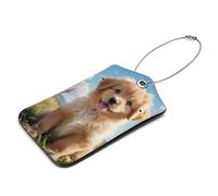 Etichette per bagagli in alpaca, 2 etichette per bagagli in pelle, etichette per bagagli per valigie, etichette per bagagli da viaggio con carta d'identità, proteggere la privacy e prevenire perdite