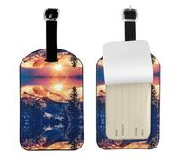 Etichette per bagagli in pelle con stampa di alberi e colline innevate con natura, sole, montagne innevate, set di etichette per bagagli per uomini e donne, 1 confezione