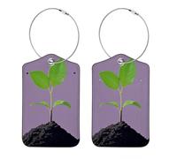 Etichette per bagagli per germinazione dei semi, in pelle PU, per borsa da viaggio per navi da crociera, etichetta identificativa e anello in metallo, adatte per borsa da viaggio