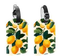 Etichette per bagagli senza cuciture con frutti tropicali di limone, confezione da 2 pezzi, in pelle, con patta per la privacy e etichetta identificativa con nome, per donne e uomini, da viaggio