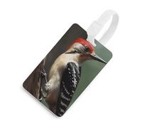 Etichette per bagagli Woodpecker Etichette per l'identificazione del bagaglio da viaggio bianche Etichetta identificativa con nome e scheda indirizzo Etichette per bagagli uniche e graziose con anel