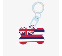 Etichette per cani alla moda con stampa di bandiera hawaii Portachiavi acrilico Forma di osso di cane Etichette con motivo a doppia faccia per cani e gatti