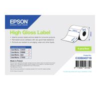 Etichette per stampante Epson High Gloss Label - Die-cut Roll: 102mm x 152mm, 800 labels [C33S045719] NEW