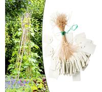 Etichette Plastica Impermeabili per Identificazione Piante 100PCS Etichette Colo