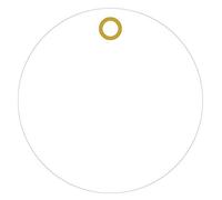 Etichette rotonde colorate in vinile da 7,6 cm, con foro per occhiello, vuote, impermeabili, confezione da 100 (bianco)