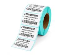 Etichette Termiche esive Carta Termica, 40x30mm, 800 etichette, | Qualità di stampa , Etichette Termiche Durevoli, Identificazione prodotti, Per centri distribuzione