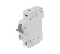 ETIMAT 6 1P B50 Interruttore di sovracorrente 230/400VAC Nomina: 50A Polo: 1 ...
