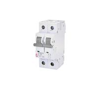 ETIMAT 6 Interruttore di sovracorrente 2p C10 002143514