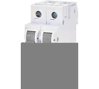 ETIMAT 6 Interruttore di sovracorrente 2p D1 002163504