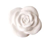 ETM Gesso Fiore Applicazione Bianco 12 Pz
