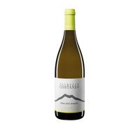 Etna Bianco 'Mofete' Palmento Costanzo 2024