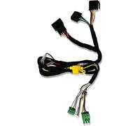 Eton ACCM2 2 Canale Plug & Play Collegamento per Eton Micro 120.2 Amplificatore