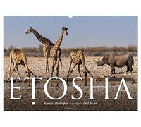 ETOSHA - Namibia Highlights (Wandkalender 2026 DIN A2 quer), CALVENDO Monatskalender: 12 wunderschöne Tier- und Landschaftsaufnahmen aus Namibia von dem Fotografen und Grafik-Designer Olaf Bruhn