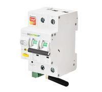 ETTROIT e-smart Interruttore Magnetotermico 63A contatore energia 2P Tuya Sma...